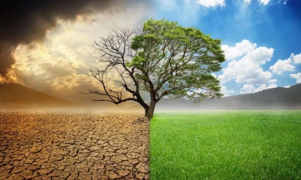 Μελέτη του Ινστιτούτου Πότσδαμ για κλιματική αλλαγή: Οι ζημιές μπορεί να ανέλθουν στα $38 τρισ. ετησίως μέχρι το 2050
